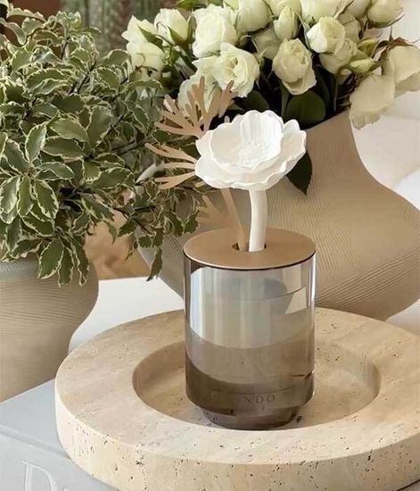 Crystal Oriental Peony, ароматический диффузор с необычными палочками, Chando