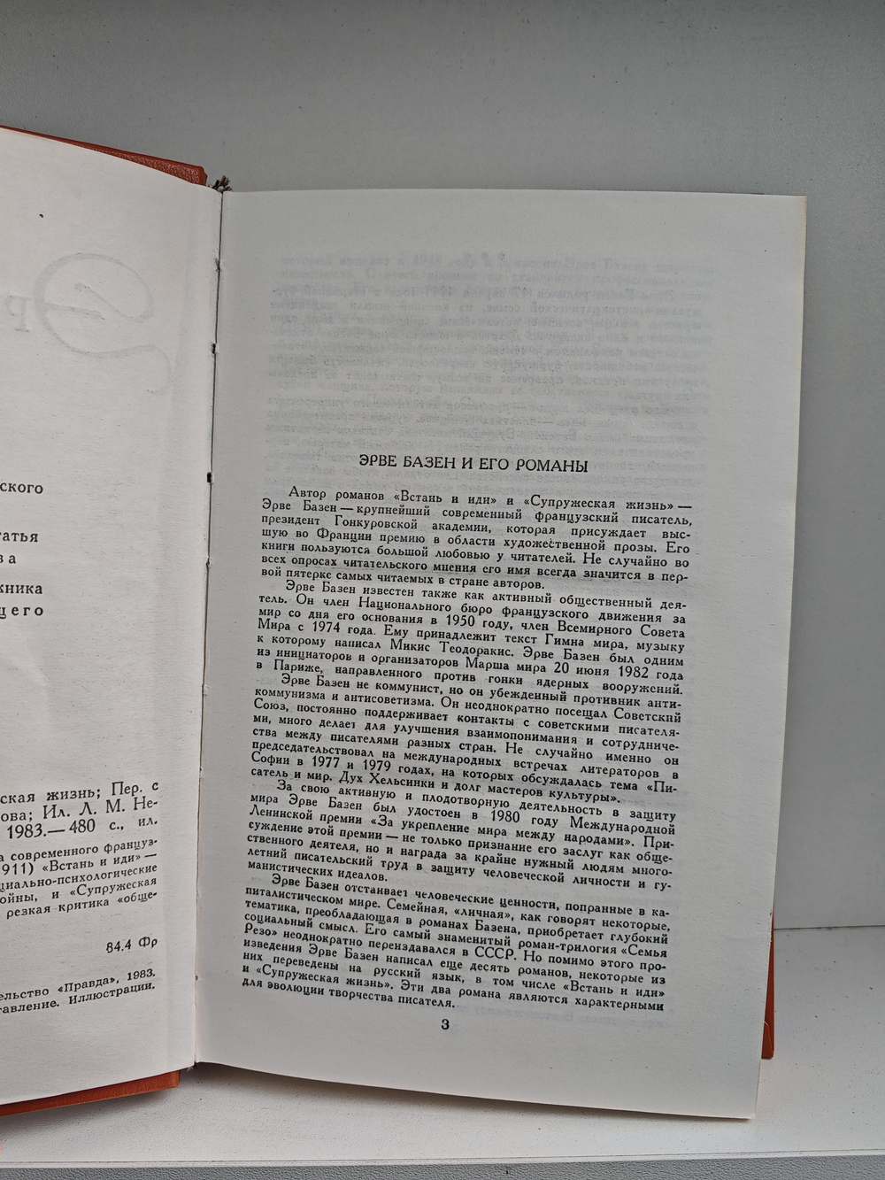 Встань и иди. Супружеская жизнь