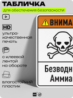 Табличка для обеспечения безопасности "Внимание безводный аммиак", для производства, предприятия, организаций, 40х30 см, Silver Plane x Айдентика Технолоджи