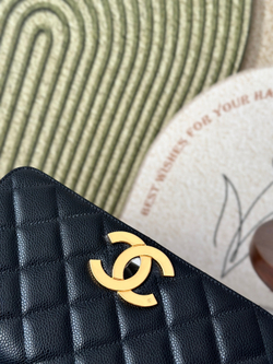 Chanel Bag 25 cm (2 variants)