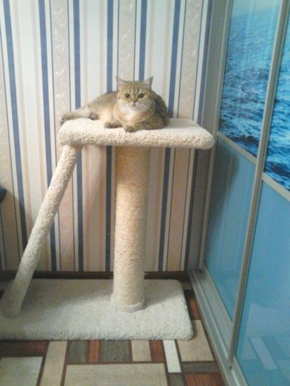 Комплекс для кошек К-15