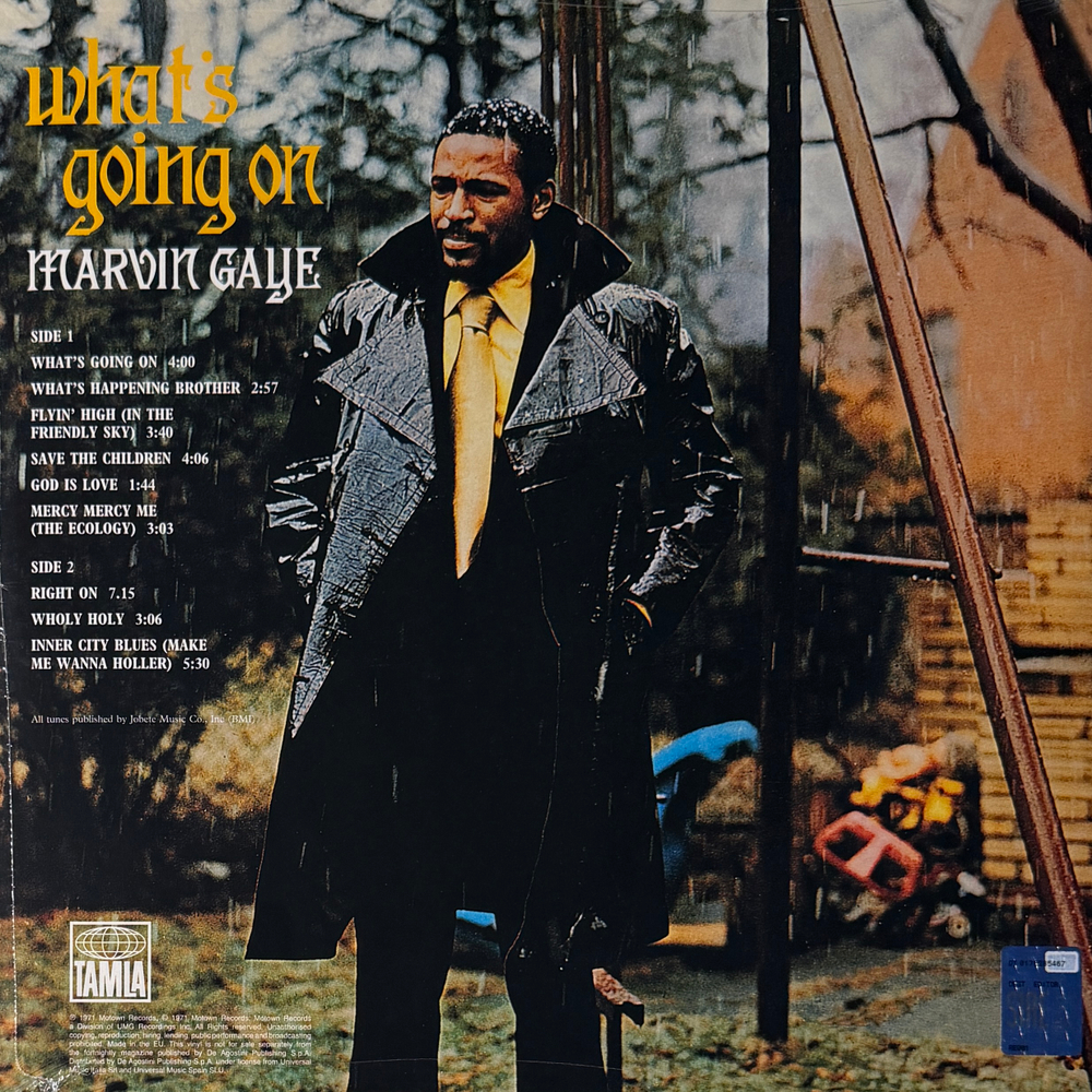 Виниловая пластинка Marvin Gaye ‎– What's Going On LP