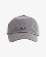 Кепка Anteater 6Panel серая