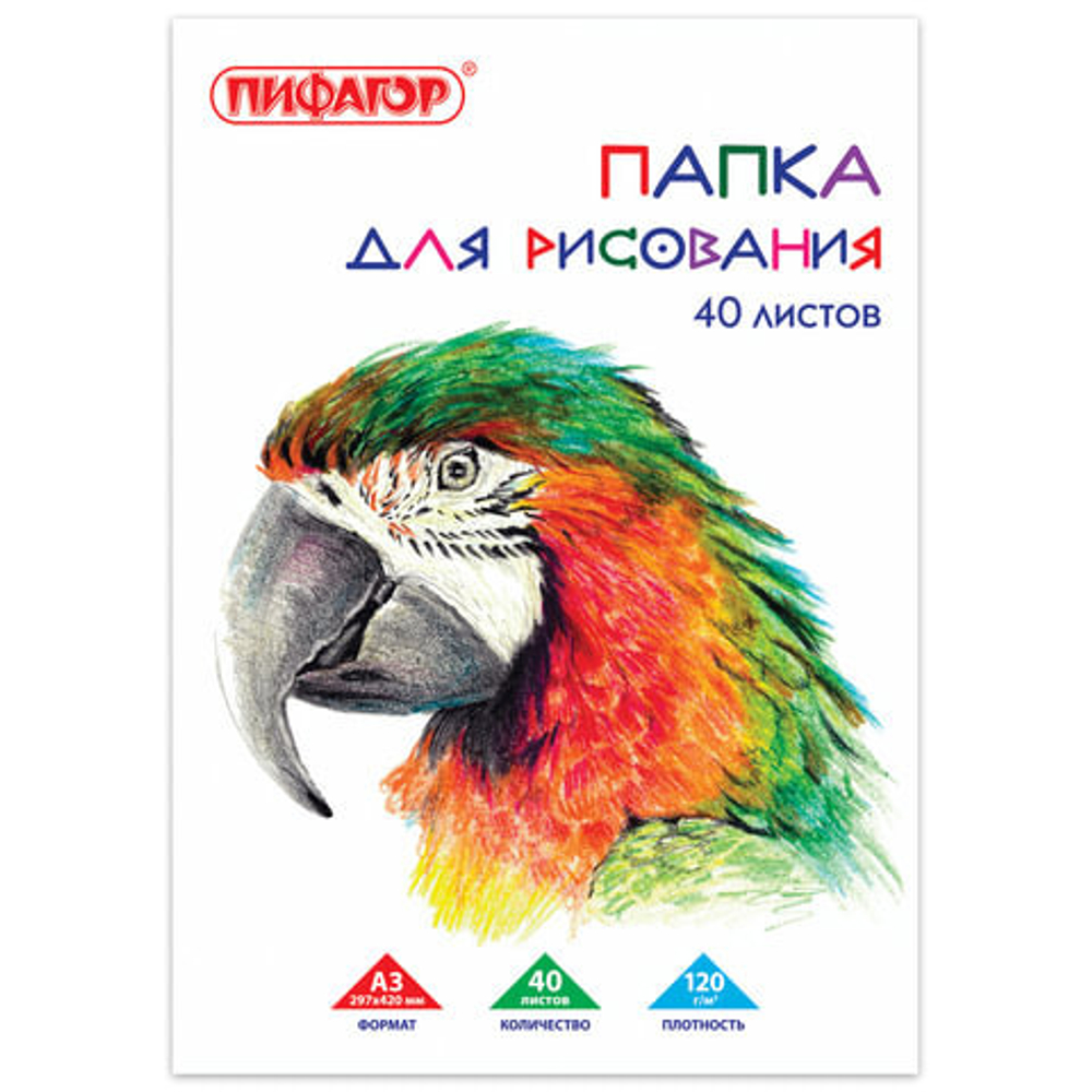 Папка для рисования БОЛЬШОГО ФОРМАТА А3, 40 л., 120 г/м2, ПИФАГОР, 297х420 мм, "Попугай"