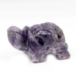 Черепаха аметист асс.