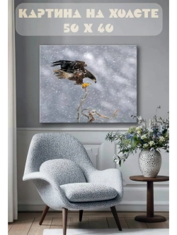 Картина на стену 40 X 50 Орел