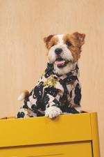 Комбинезон "Пони-комбинезони" принтованный, без утеплителя