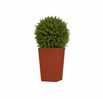 Кашпо, коллекция КОЛОР, форма КОНИК