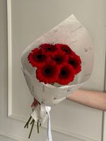 Кулек из 7 минигербер красного оттенка