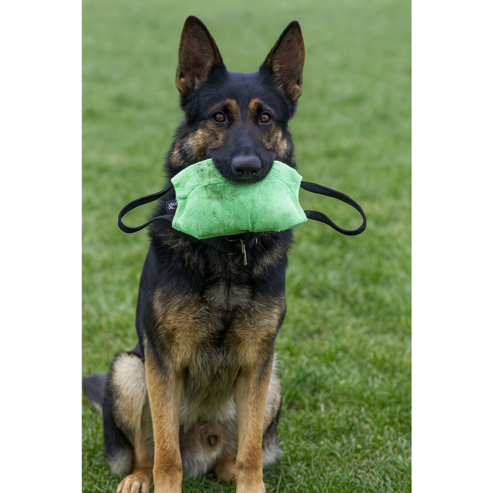 Профессиональная подушка для защиты от укусов для щенков и взрослых собак