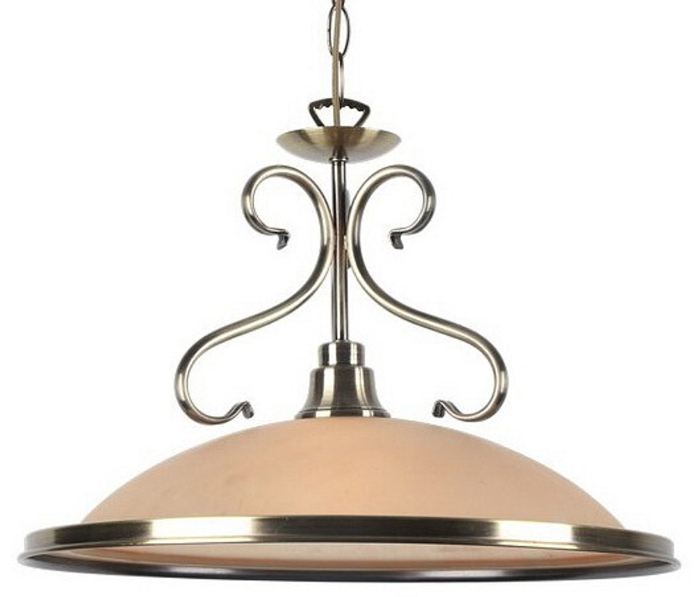 Подвесной светильник Arte Lamp A6905SP-1AB
