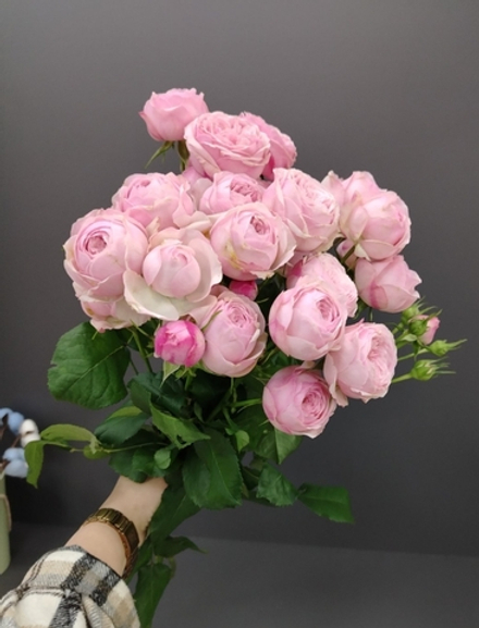 Кустовые розы индивидуальный заказ