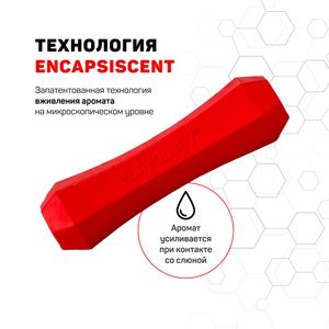 Жевательная палочка Playology SQUEAKY CHEW STICK для собак средних и крупных пород с ароматом говядины, большая, цвет красный