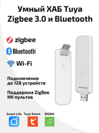 Умный Хаб Tuya ZigBee BLE Wi-Fi c USB портом