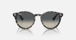 RAY-BAN LARRY RB7680S 133371
