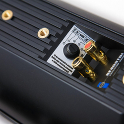CVGAUDIO RF416TBL Высококачественная настенная акустика