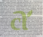 Колокольчик Чашка с Блюдцем 0,1 г СМЦ-302