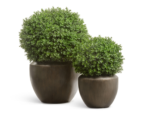 Кашпо TREEZ Effectory Metal Чаша Design Чернёная бронза в-33 см, д-40 см 41.3321-07-046-GRP-40