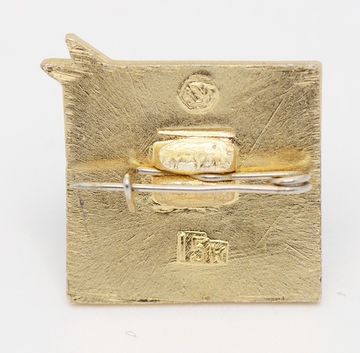 Значок Салют, Союз-10, булавка