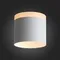 ST102.502.12 Светильник потолочный Белый LED 1*12W 3000K 936Lm Ra>80 120° IP20 D100xH90 170-240V Накладные светильники