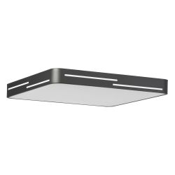 Citilux Купер Лайн CL724K95GL1 LED RGB Светильник с пультом Чёрный