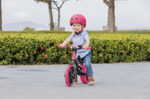 Беговел Globber Go Bike Elite Duo pink
