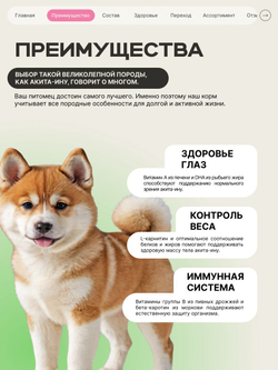 Корм сухой для щенков породы Акита-ину, премиум полнорационный комплекс, с ягненком, 12 кг, QUATTRO