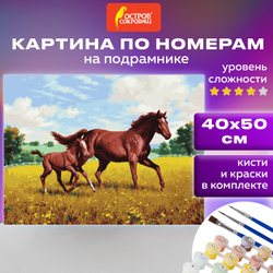Картина по номерам 40х50 см, ОСТРОВ СОКРОВИЩ "Лошади на лугу", на подрамнике, акриловые краски, 3 кисти, 662464