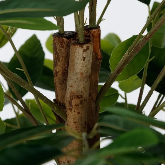 Лимонное дерево высота 150 см