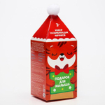 6940979 Подарочный набор развивающих тактильных мячиков «Новогодний Тигренок» с помпошкой, 2 шт.