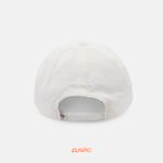  Кепка Dickies Hardwick Cord 2 артикул:DK0A4ZAYC481 - купить в магазине Дайс