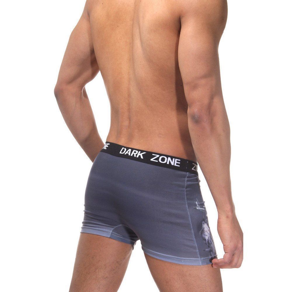 Трусы мужские боксеры с 3D принтом DARKZONE DZN1037