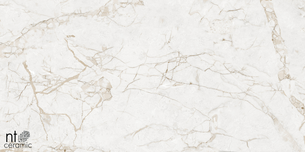 Керамогранит Impero Grey Carving NTT99519M 600*1200 матовая/карвинг