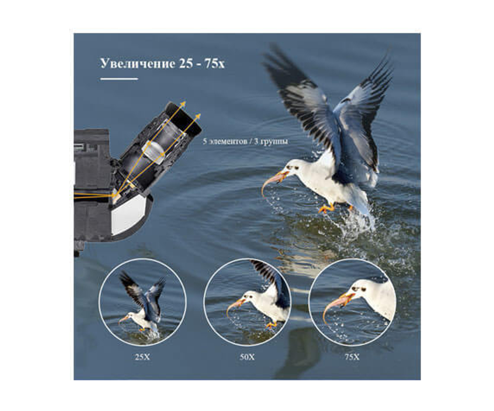 Зрительная труба SVBONY SV41 25–75x70 MAK WP со штативом