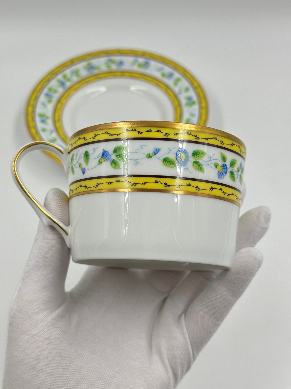 Чайная пара Raynaud Ceralene, Morning Glory Spray