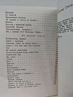 Тишайший снегопад. Стихи