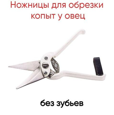 Ножницы для обрезки копыт овец и коз.