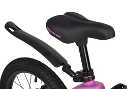 Maxiscoo COSMIC Стандарт 16'' (2025)