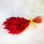 Букет сухоцветов из лагуруса красного