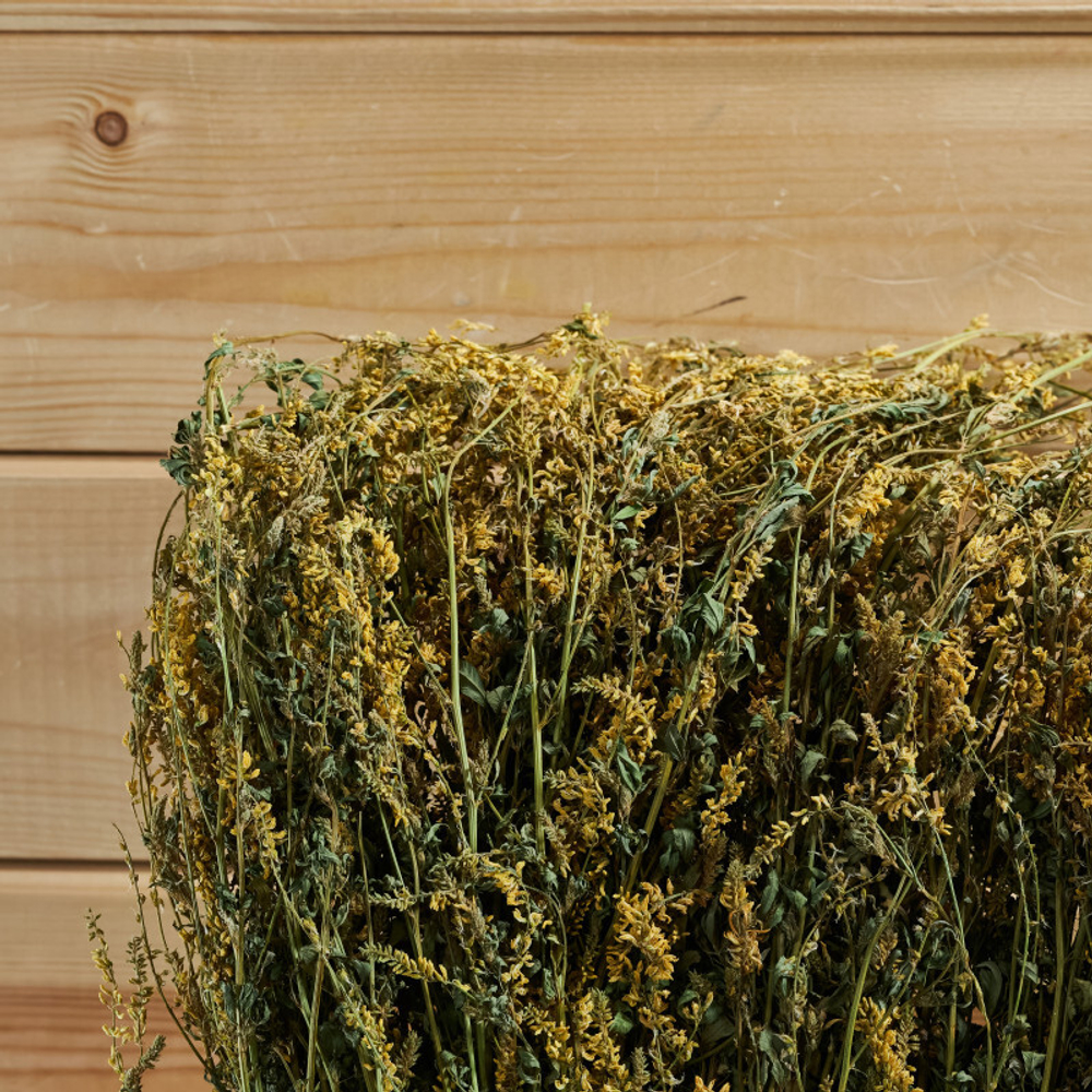 Донник, букет_2.jpg