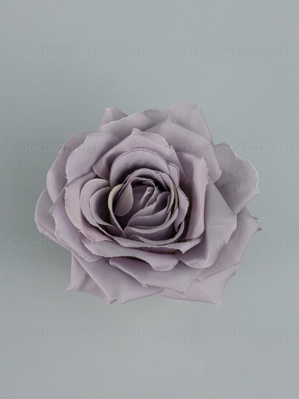 Голова розы Роберта сиреневая