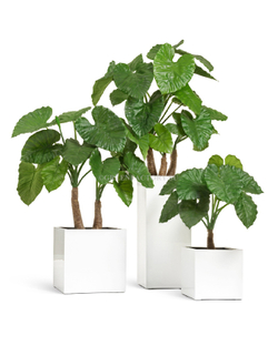 Кашпо TREEZ Effectory - серия Gloss - Куб - Белый глянцевый лак