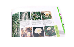 RHS Encyclopedia of plants and flowers