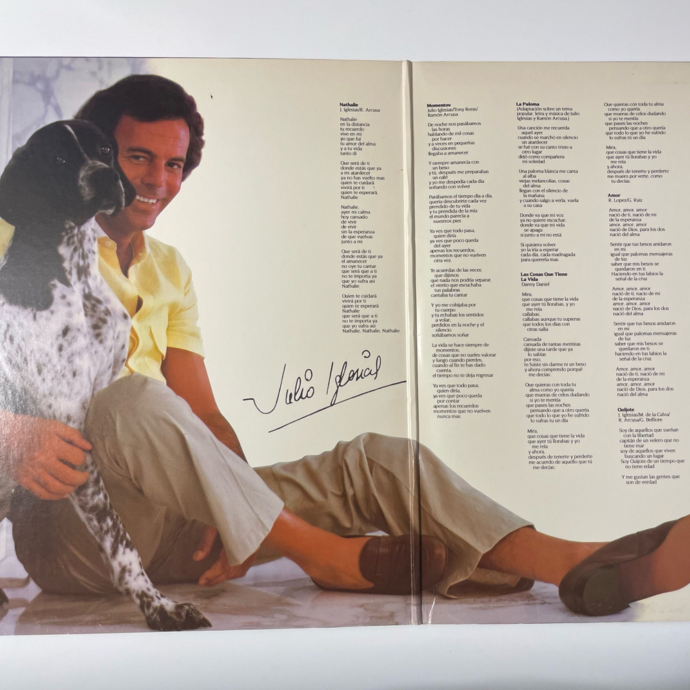 Винтажная виниловая пластинка LP Julio Iglesias Momentos (США 1982)
