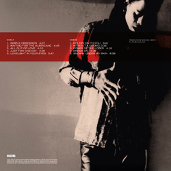 LP: Andru Donalds (Enigma) — «Snowin' Under My Skin» (1999/2025) [Black Vinyl]