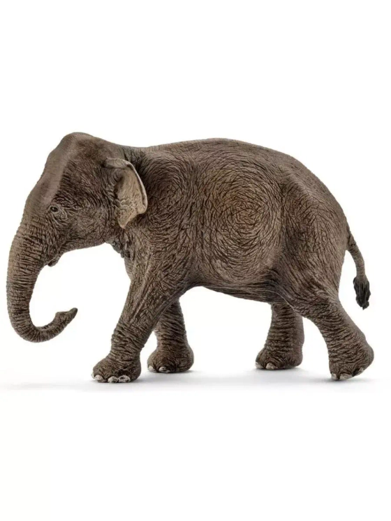 Фигурка Азиатский слон самка Schleich 14753