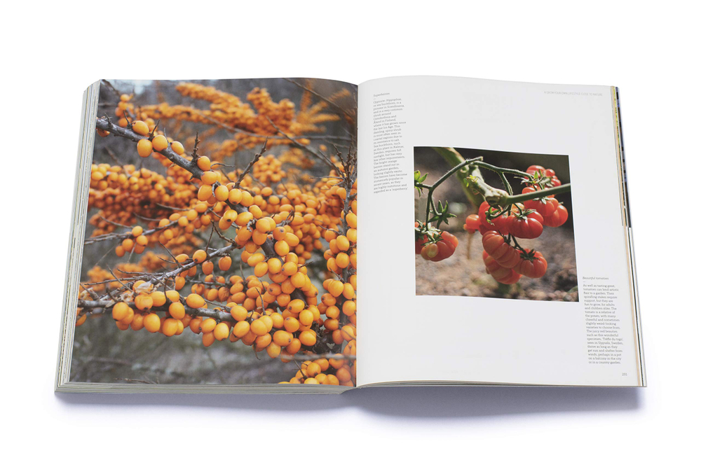 New Nordic Gardens. Scandinavian Landscape Design