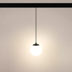 Светильник MAG-ORIENT-SFERO-HANG-R150-10W Warm3000 (BK, 300 deg, 48V) (Arlight, IP20 Металл, 5 лет) 036049