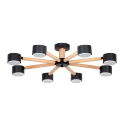 Потолочная люстра Arte Lamp