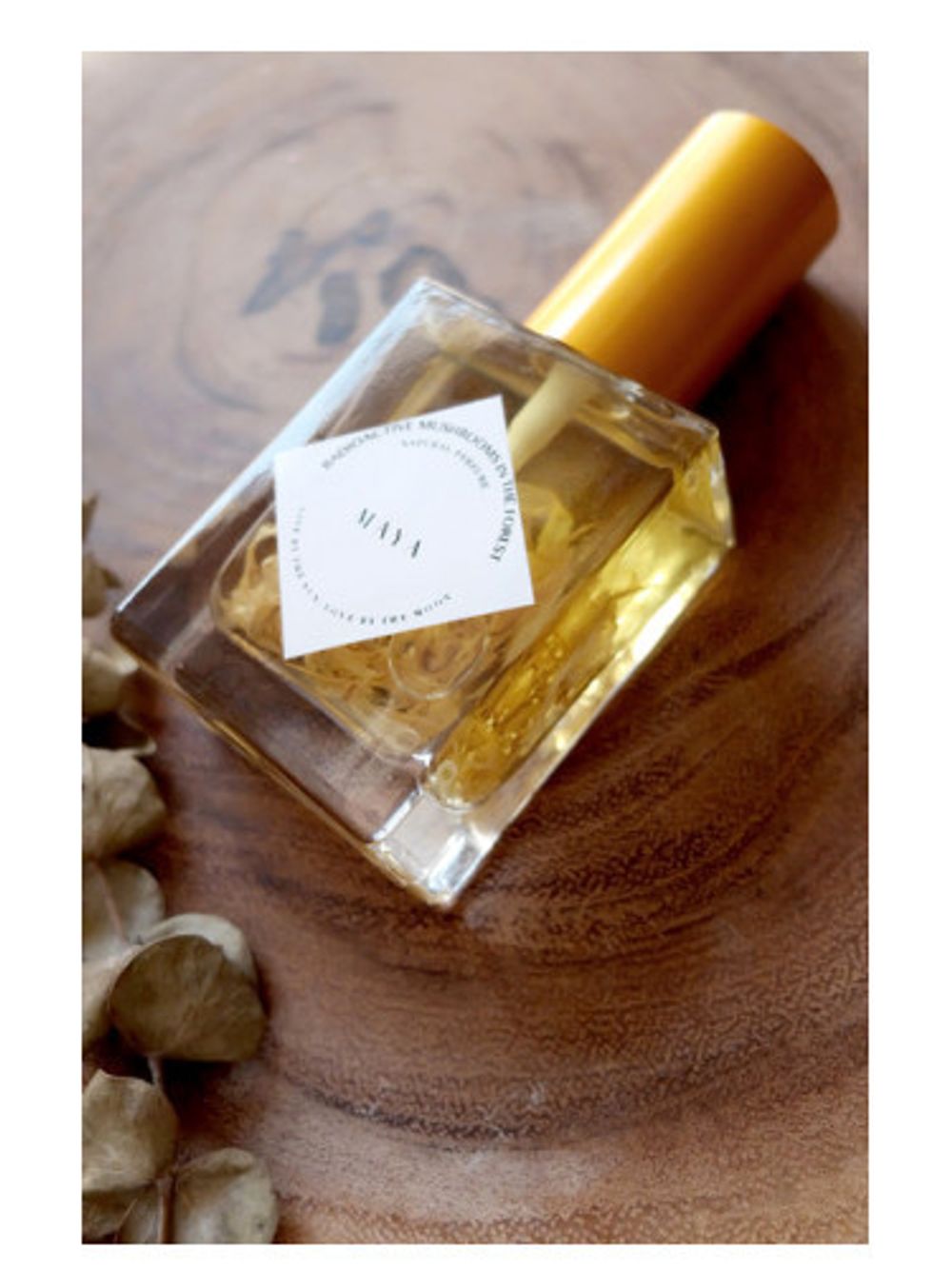 Radioactive Mushrooms in the Forest Maya